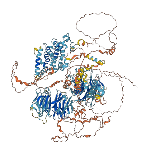 WDR97 3D structure