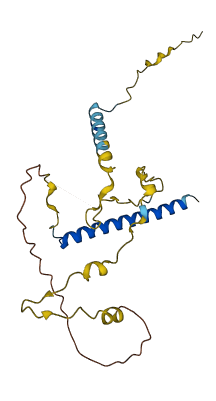 MBD3L3 3D structure