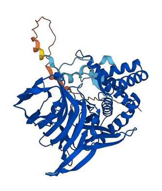 NPEPPSL1 3D structure