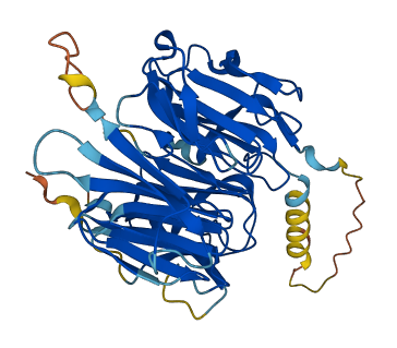RCCD1 3D structure