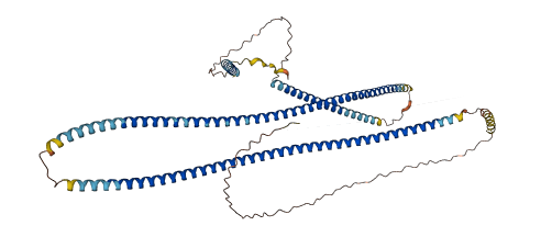 GOLGA6L4 3D structure