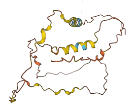 ZNF503-AS2 3D structure