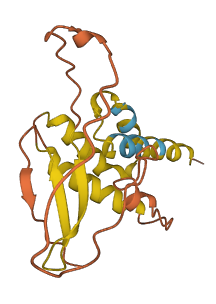 FAM86C2P 3D structure