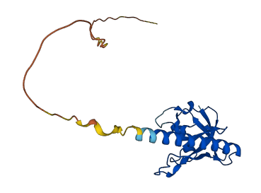CXorf65 3D structure
