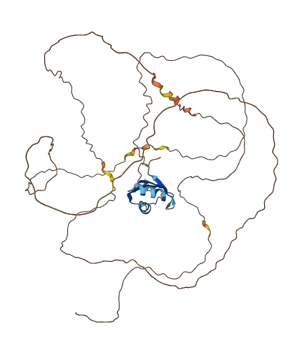 RBMY1E 3D structure