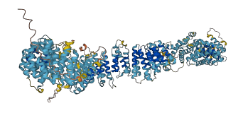 MROH2A 3D structure