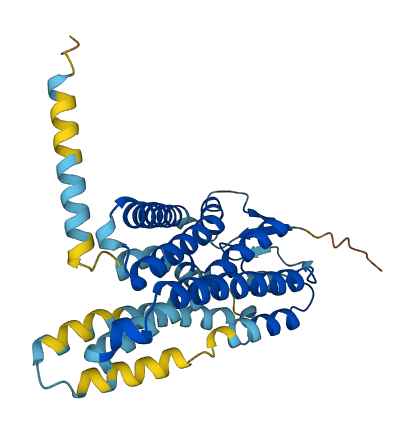 OR5K3 3D structure