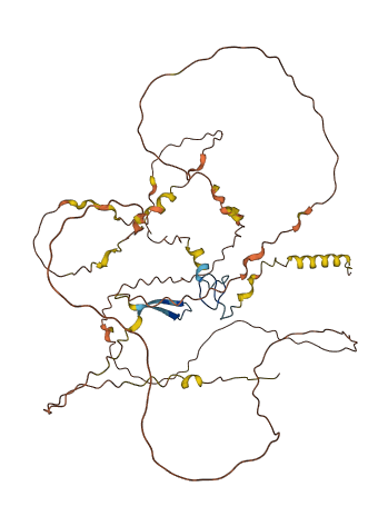 FAM90A16P 3D structure