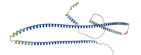 GOLGA6L3 3D structure