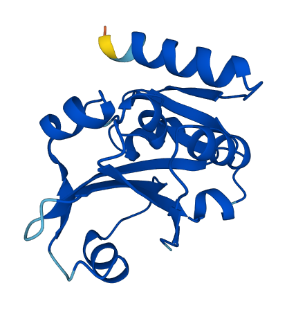 PRORSD1P 3D structure