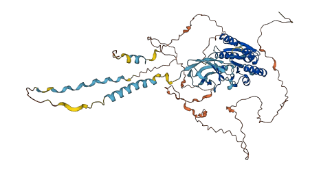 ANTXRL 3D structure