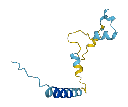NUPR2 3D structure