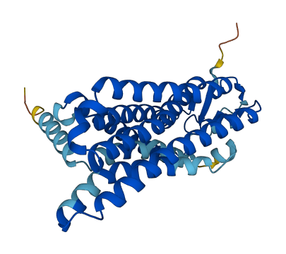 OR6C6 3D structure