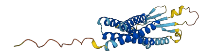 TMEM235 3D structure