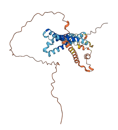 OR2W5 3D structure