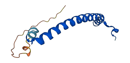 NAP1L6P 3D structure