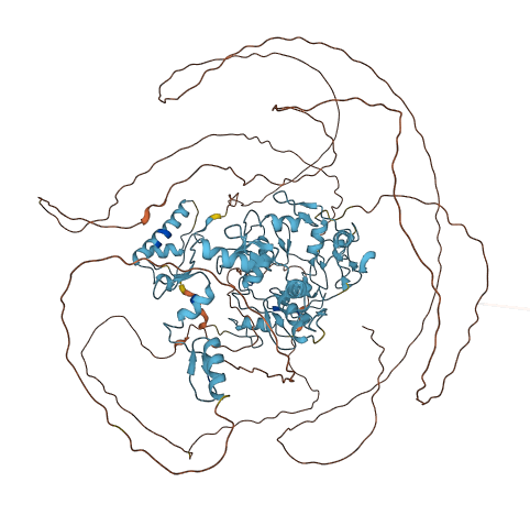ZNF316 3D structure