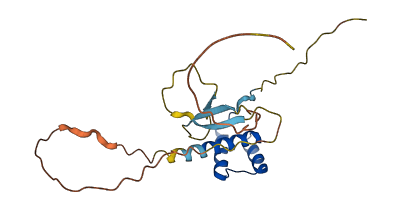 DPRX 3D structure