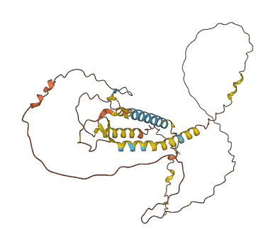 C5orf60 3D structure