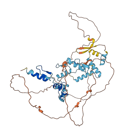 ZSCAN5C 3D structure