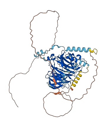 DCAF8L1 3D structure