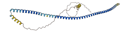 CCDC160 3D structure