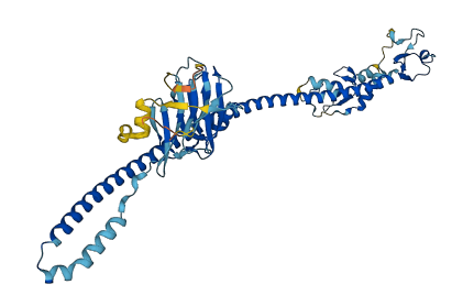 TRIM64 3D structure