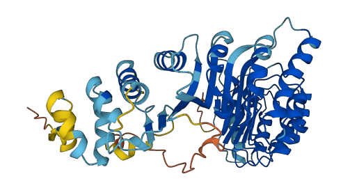 PRAMEF25 3D structure