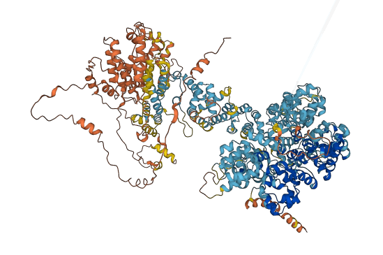 STRCP1 3D structure