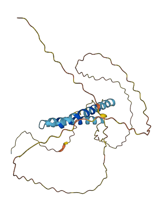 FRG2C 3D structure