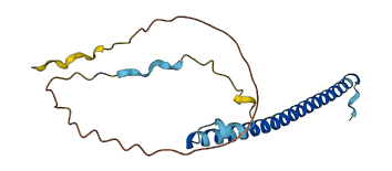 C5orf52 3D structure