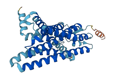 OR51F1 3D structure