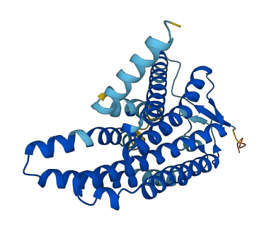 OR2T8 3D structure