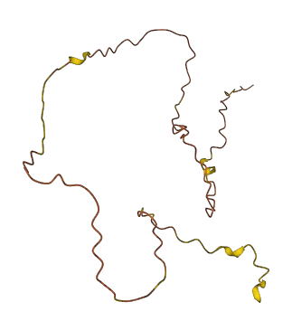 DNAJC9-AS1 3D structure