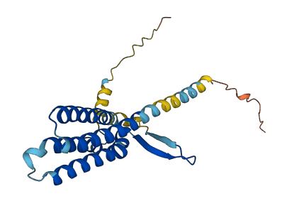 TVP23A 3D structure