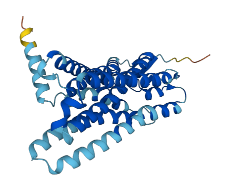 OR4C46 3D structure