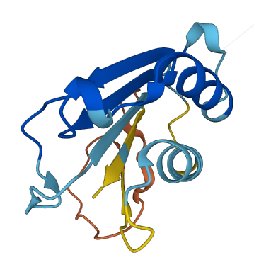 DDTL 3D structure