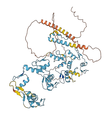 ZNF860 3D structure