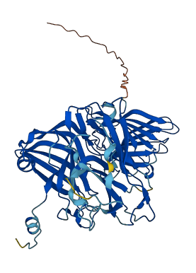 MOXD2P 3D structure