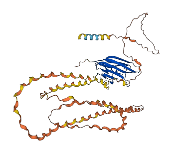 OTOL1 3D structure