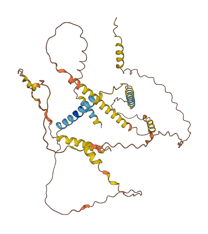 NPIPB15 3D structure