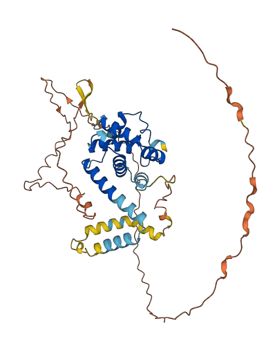 SPDYE2B 3D structure