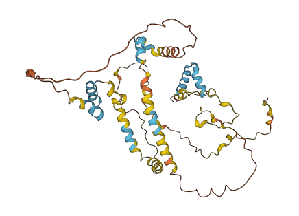 FAM47DP 3D structure