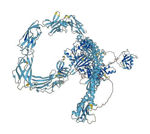SMCHD1 3D structure