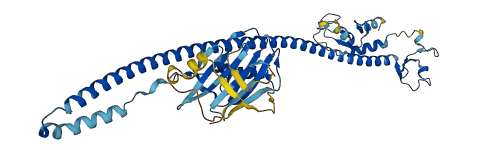 TRIM64B 3D structure