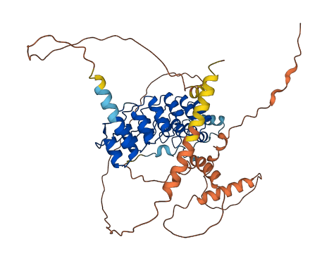 POTEM 3D structure