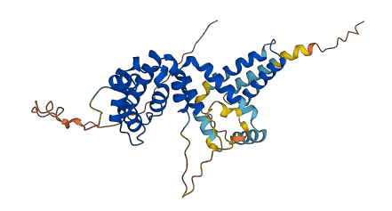 RRN3P2 3D structure