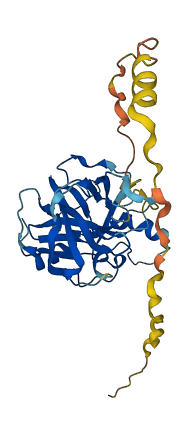 PRSS29P 3D structure