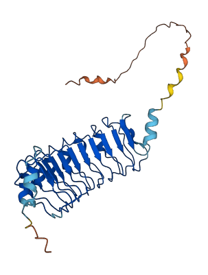LRRC10B 3D structure