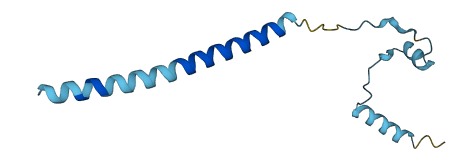 CRYM-AS1 3D structure